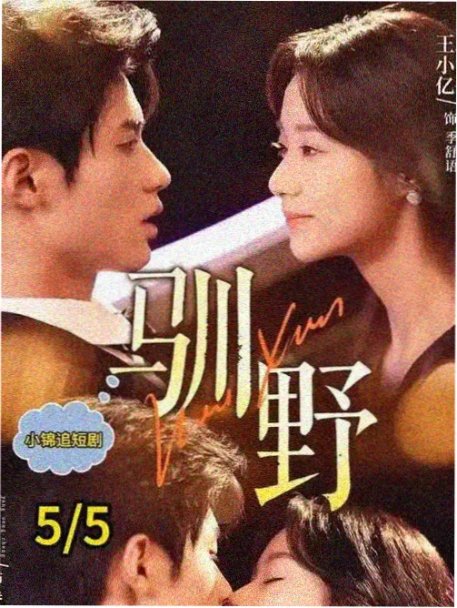 主线推进条目 家庭线作为隐形推力